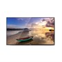 Интерактивная панель Goodview 49" PCAP display TC49H1 1580298365