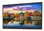 Интерактивная панель EliteBoard LR-65UL4IA 28403720