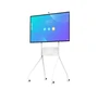 Интерактивный панель Classic Solution WM55F-P 405006899