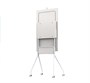 Интерактивный панель Classic Solution WM55F-P 405006899