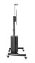 Мобильная напольная стойка Digis DSM-P2106CB для размера 55"-100" 907118118