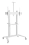 Мобильная напольная стойка Digis DSM-P7106C для размера 55-100" 1769174762