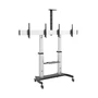 Мобильная напольная стойка для 2-х дисплеев Wize Pro MH255 для размера 37"-60" 2007441650