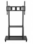 Мобильная напольная стойка TeachTouch для размера 42"-90" 1711970520