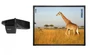 Интерактивный комплект 88" ActivBoard Touch DryErase 10 с проектором Promethean UST-P2 и креплением 1427736127