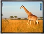 Интерактивная доска 78" ActivBoard Touch Dry Erase 2 касания, ПО ActivInspire 1274758296