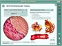 Интерактивные плакаты. Биология человека Новый диск 1905889179