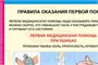 Учебно-образовательная коллекция "Знайка" «ОБЖ. Основы медицинских знаний и здорового образа жизни» (Электронная версия) 1978610327