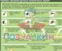 Учебно-образовательная коллекция "Знайка" «НВП. Основы воинской службы» (Электронная версия) 1832701308