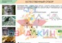 Учебно-образовательная коллекция "Знайка" «Биология. Эволюционное учение» (Электронная версия) 1262720226