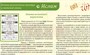 Учебно-образовательная коллекция "Знайка" «Основы религиозных культур и светской этики. Ислам» (Электронная версия) 1778793898