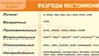 Учебно-образовательная коллекция "Знайка" «Русский язык. 6 класс» (Электронная версия) 969471406
