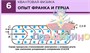 Учебно-образовательная коллекция "Знайка" «Физика. Квантовая физика» (Электронная версия) 2047336401