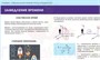 Учебно-образовательная коллекция "Знайка" «Физика. Статика. Специальная теория относительности» (Электронная версия) 1299849495