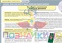Учебно-образовательная коллекция "Знайка" «Финансовая грамотность. Старшеклассник» (Электронная версия) 1884466980