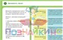 Учебно-образовательная коллекция "Знайка" «Математика 6 класс» (Электронная версия) 1222235718