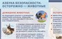 Учебно-образовательная коллекция "Знайка" «Окружающий мир 3 класс» часть 2 Человек и общество. Правила безопасной жизни (Электронная версия) 2065902768