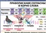 Учебно-образовательная коллекция "Знайка" «Русский язык 2 класс. Слово, текст, предложение. Звуки и буквы. Орфография 1 часть» (Электронная версия) 1469618239