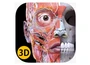 Анатомический 3D_атлас Systema, пакетная лицензия на 30 персональных учетных записей на 5 лет 134471444
