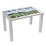 Интерактивный стол InterTouch 32" Optima-B-INOX-1_32 (с компьютером) 716296056