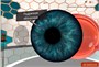 Мобильный класс виртуальной реальности PolyVR-24 2143224886
