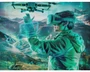 Неисключительная лицензия "Симулятор Flytonica" (1-5), 1 год техподдержки и обновлений 835718069
