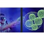 Лицензия 3D на 1 компьютер EUREKA, 1 год, 3 предмета 1111097799