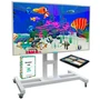 Интерактивная стена Ожившие рисунки InterTouch AD_max_4 Master Touch (Full/PC/PKIP/tablet) Полный комплект №4 (Планшет 10"+Софт+Интерактивная панель 55") 1168385819
