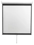 Экран настенный Digis DSOD-1108 Optimal-D (1:1) 308x309 (300x300, MW) 1102289149