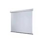 Экран настенный Draper VScreen AV (1:1) 96/96" (244x244, XT1000E MW) 1141406091