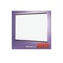 Экран настенный Draper VScreen AV (1:1) 96/96" (244x244, XT1000E MW) 1141406091