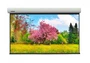 Экран с электроприводом Lumien Master Large Control LMLC-100101A (4:3) 519x399 (501x381, MW FG) 1310282008