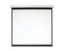 Экран с электроприводом Digis DSEF-1103 Electra-F (1:1) 156x159 (150x150, MW) 1225557665