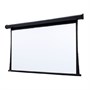 Экран с электроприводом Draper Premier NTSC (4:3) 305/120" (183x244, XT1000VB M1300) ebd 12" case black 1552968322