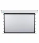 Экран с электроприводом Best Vision Large Tensioned (4:3) 220" (447x335, MW) 278487736