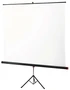 Экран на штативе 220х220 cм Braun Standard 1783302381