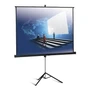 Экран на штативе Classic Libra 180x180 (T 180x180/1 (MW)-LS/B) 1396392772