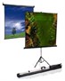 Экран на штативе Classic Libra 180x180 (T 180x180/1 (MW)-LS/B) 1396392772