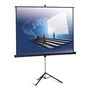 Экран на штативе Classic Libra (1:1) 160x160 (T 160х160/1 MW-LS/S) 1428702648