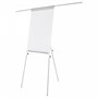 Флипчарт Magnetoplan Young Edition Plus,680х970 мм., белый 1121840362