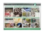 Электрифицированный стенд "Ветеринарно-санитарная экспертиза колбасных изделий, мясных копченостей, мясных консервов, топленого пищевого жира и кишечного сырья" Zarnitza 414369705