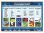 Электрифицированный стенд "Классификация ядохимикатов" Zarnitza 603631401