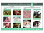 Электрифицированный стенд «Диктиокаулез. Болезнь Ауески» Zarnitza 2095702217