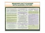 Комплект стендов "Ведение наступления батальоном (ротой)" Zarnitza 601476151