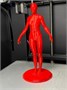 3D принтер ZENIT DUO Switch 725301755