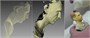 3D сканер Artec Space Spider 632579425