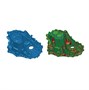 3D сканер ScanLine StaticScan-5M Plus 676847130