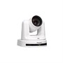 Конференц PTZ-камера AW-UE20WE 1912526549