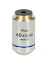 Объектив MAGUS 60PL Plan 60х/0,80 _/0,17 1204765642