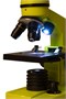Оптический микроскоп Levenhuk Rainbow 2L Lime\Лайм 602173871